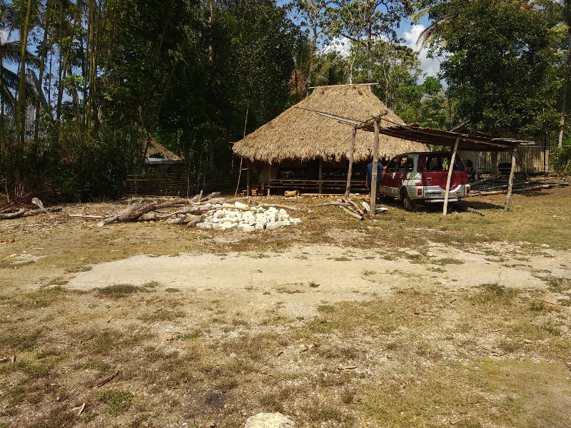 no pic 3
